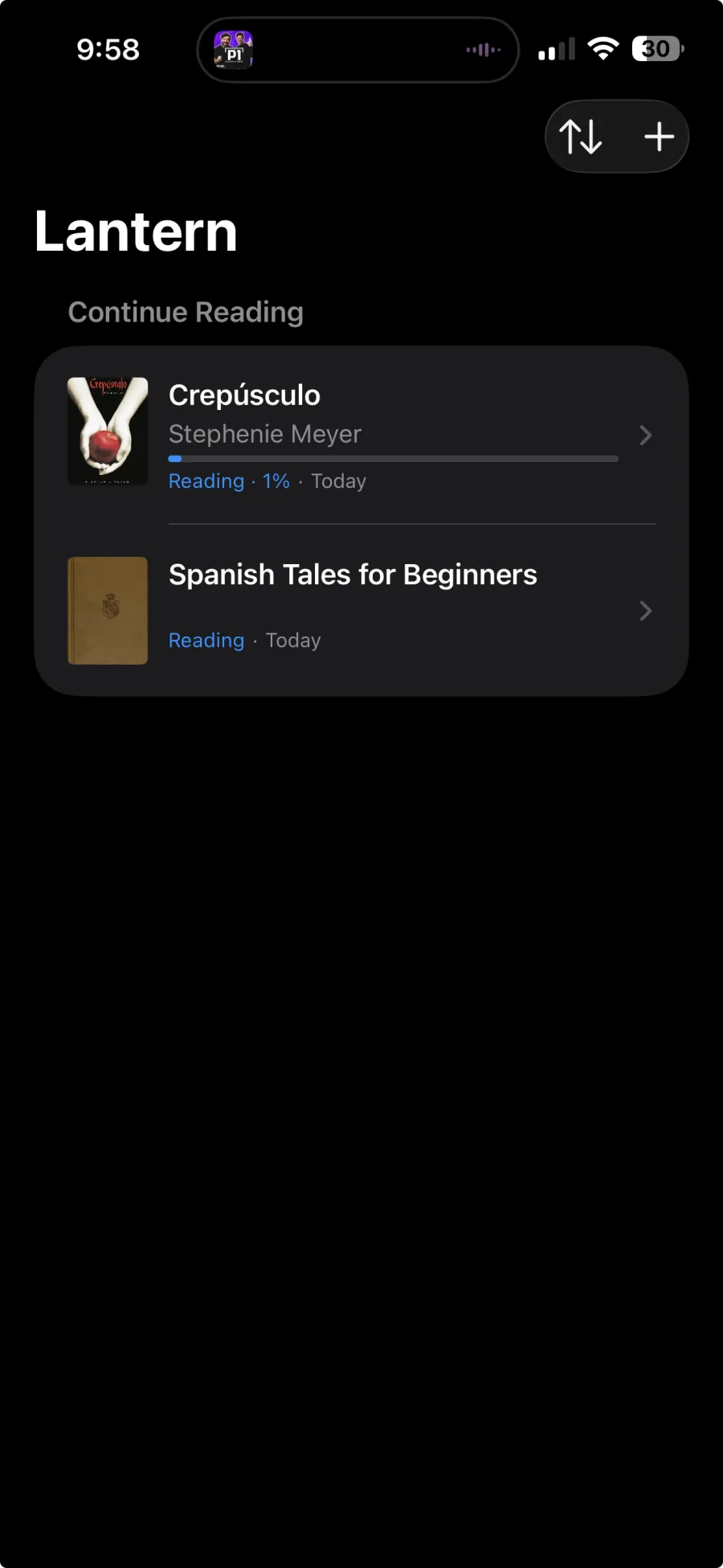 Lantern import view for personal EPUB books.